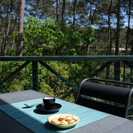 L'ombre Des Pins - Avec Piscine Privee Chauffee *
